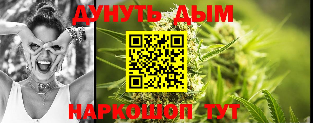 Бошки марихуана план  Каннабис конопля  Канабис сатива  Вход с VPN  Бошки марихуана Bruce Banner  Добрянка 